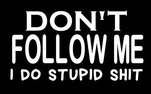 Do not follow me I do stupid shit decal